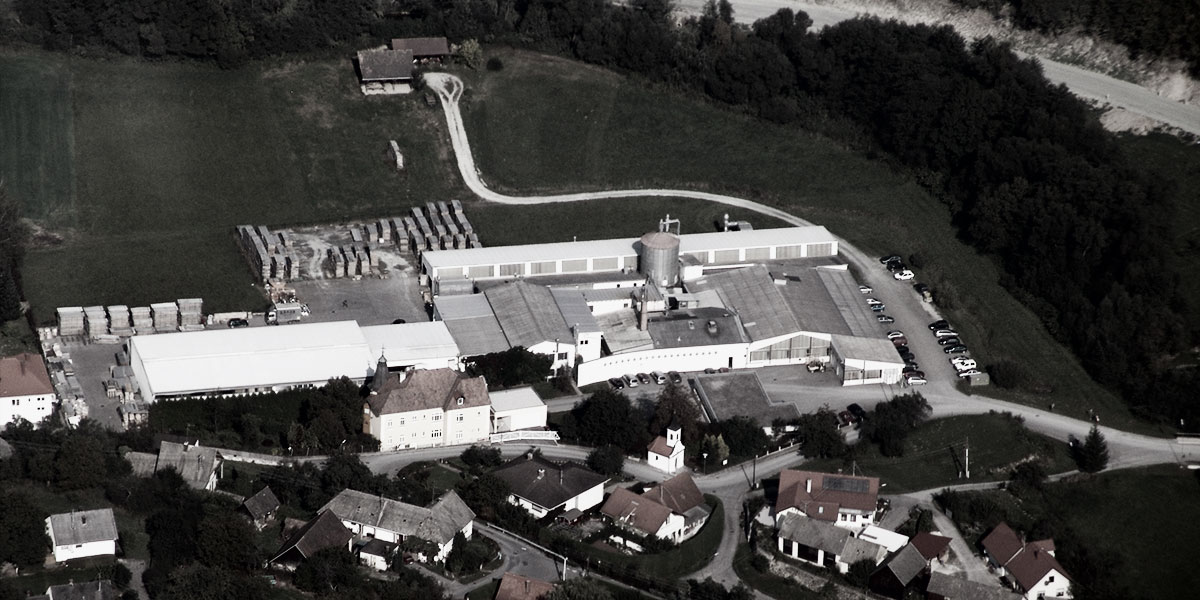 Aerial view of the company BRAUN in Lockenhaus, Austria